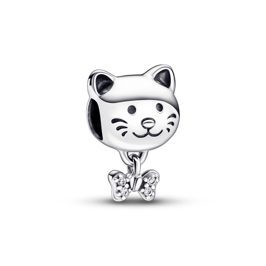 Charm Gato de Estimação e Lacinho