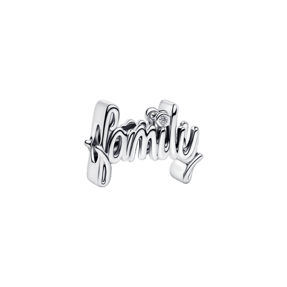 Charm Prata Familia Brilhante